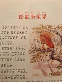 绘本《彼得兔的故事2⃣️松鼠坚浆果》
