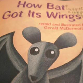 20190916 how bat got its wings