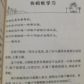 向蚂蚁学习