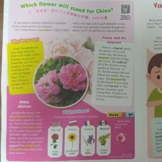 Which flower will stand for china
