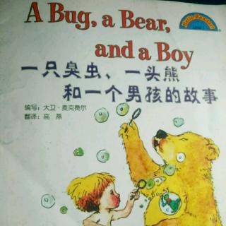 李辰浩-英语阅读-一只臭虫一头熊和一个男孩的故事-2