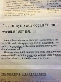 Cleaning up our ocean friends