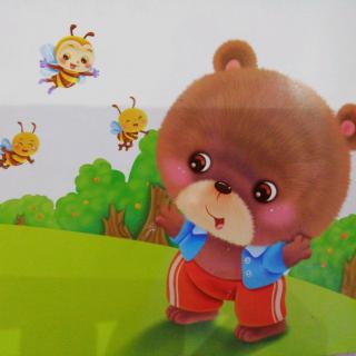 小蜜蜂和小熊