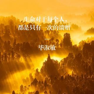 《始终眷恋着的祖国》（节选）