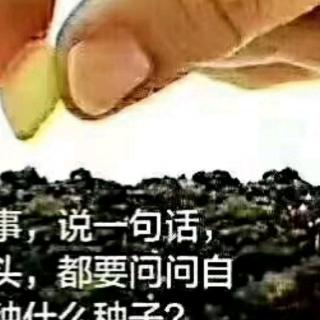 胜杰老师唤醒能量文