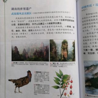 大中华寻宝系列4、5湖南的世界遗产