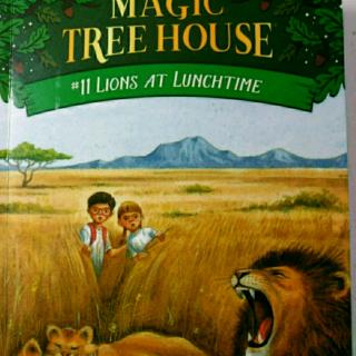 Magic tree house  lions at lunchtime   Ivy  0917