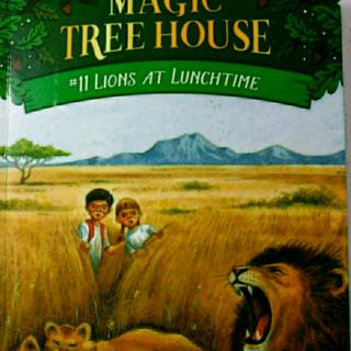 Magic tree house  lions at lunchtime   Ivy  0917