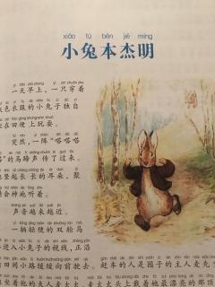 绘本《彼得兔的故事5⃣️小兔本杰明》