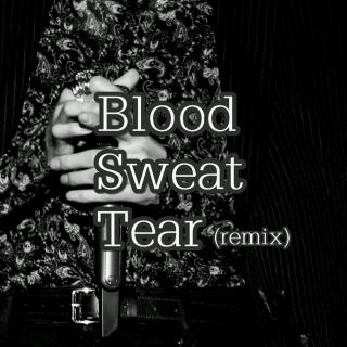 Blood Sweat Tear-BTS[remix]