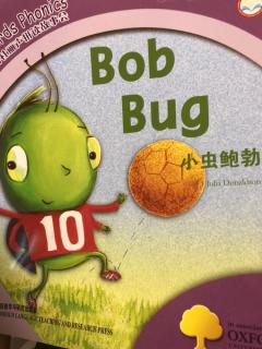 背Bob bug