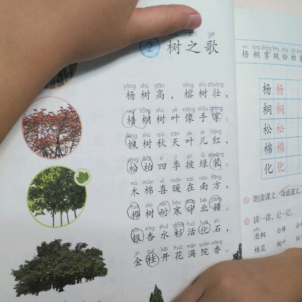 预习课文树之歌