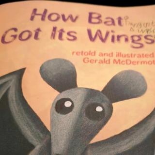20190918 how bat got wings