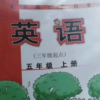 英语作业