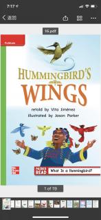 Hummingbird’s Wings