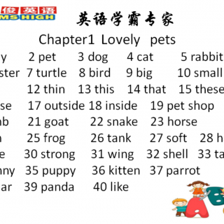 1B Chapter1 Lovely pets