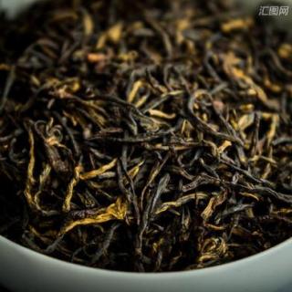 80、【小象说茶】祁门红茶是什么茶？