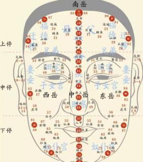 面相学的作用