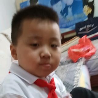 《小白兔和小灰兔》