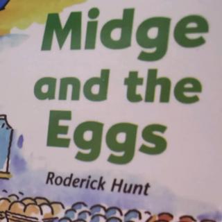 彤midge and the eggs 1