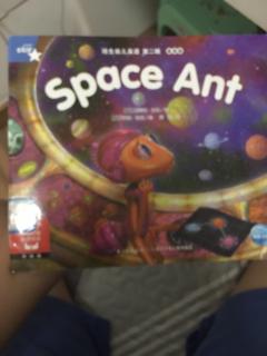 space。Ant