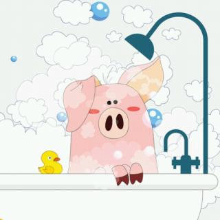 不爱洗澡的小猪