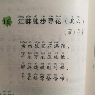 你读我诵