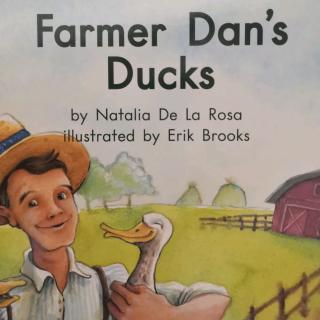 Farmer Dan's Ducks