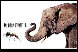 大象和蚂蚁