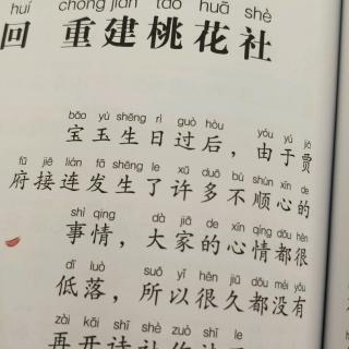 《红楼梦》第二十四回 重建桃花社