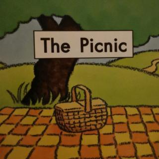 The picnic