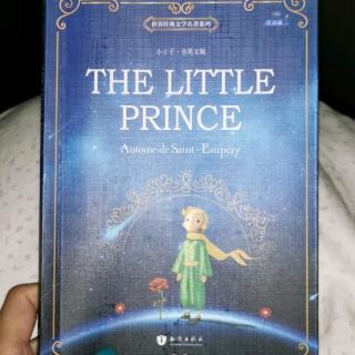 The little Prince1