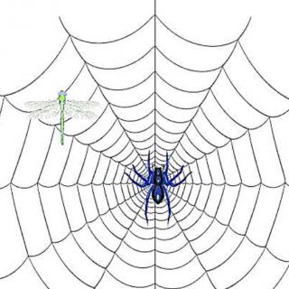 蜘蛛网的功能科学 （童话） （三年级 春雨卷   第四周）