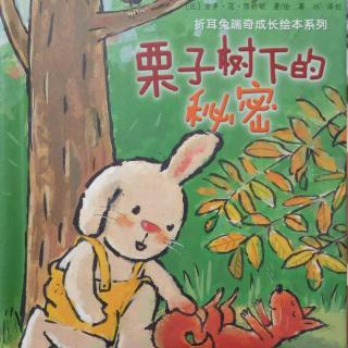折耳兔瑞奇成长绘本系列–栗子树下的秘密