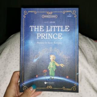 The little Prince3