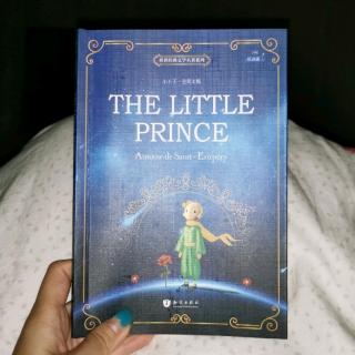The little Prince3
