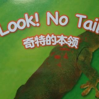 Look！No Tail