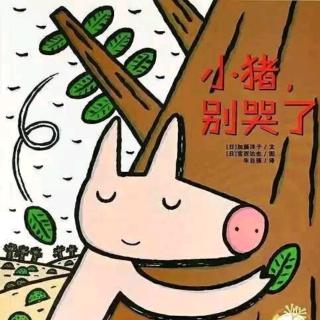 《小猪🐷别哭了🏵️》