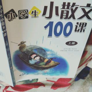 小散文100课5课   有情