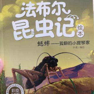 蟋蟀～孤僻的小提琴家《法布尔昆虫记绘本》