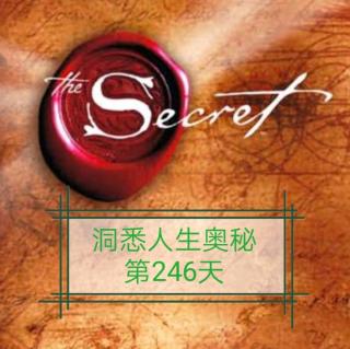 洞悉人生奥秘第246天