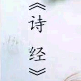 绿衣