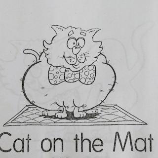 cat on a mat