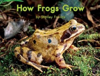 190922 How Frogs Grow（2）