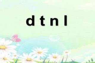 d t n l