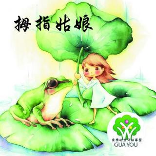 飞飞老师讲故事：拇指姑娘