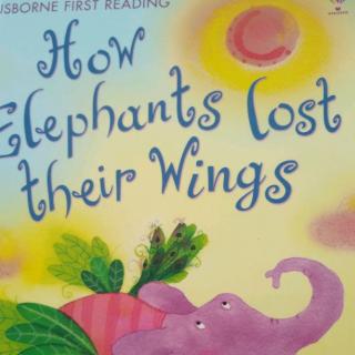 How Elephants lost their wings