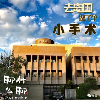 《聊什么聊》 Vol 16去岛国做了个小手术