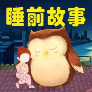 《意志坚定的妻子》20190927