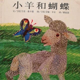 绘本故事《小羊和蝴蝶》